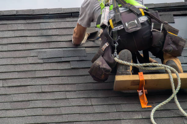 Roof Gutter Cleaning in Landis, NC
